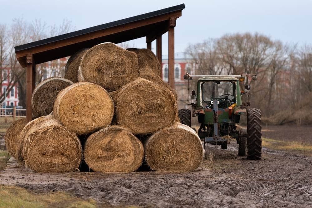The Downside of Buying Truck Tool Boxes From Tractor Supply