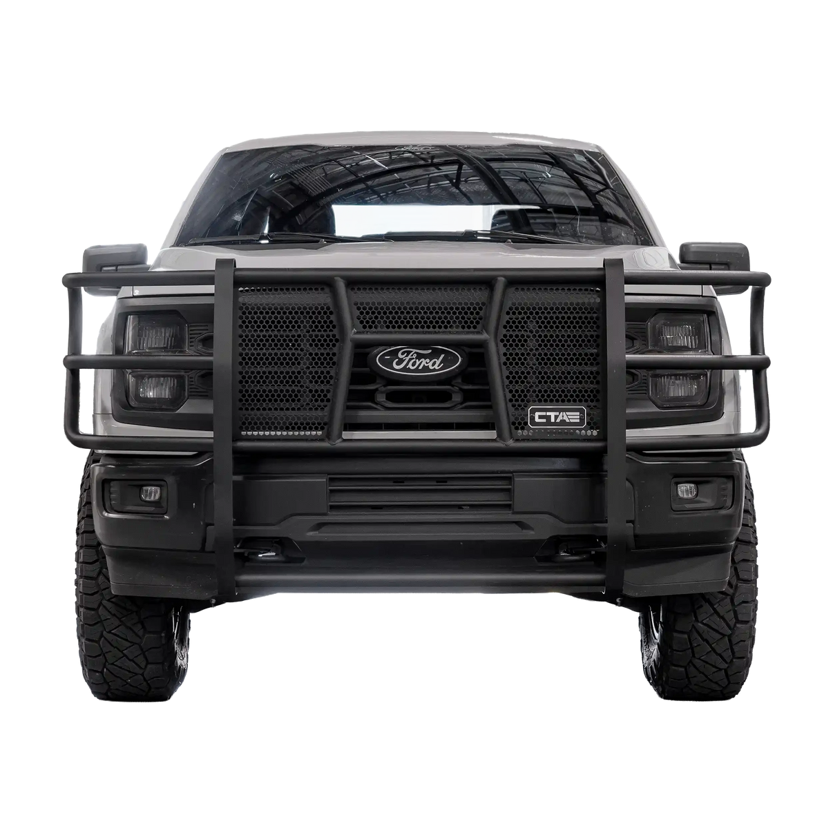 Brush Guard - Ford F-150 Chandler Truck Accessories 