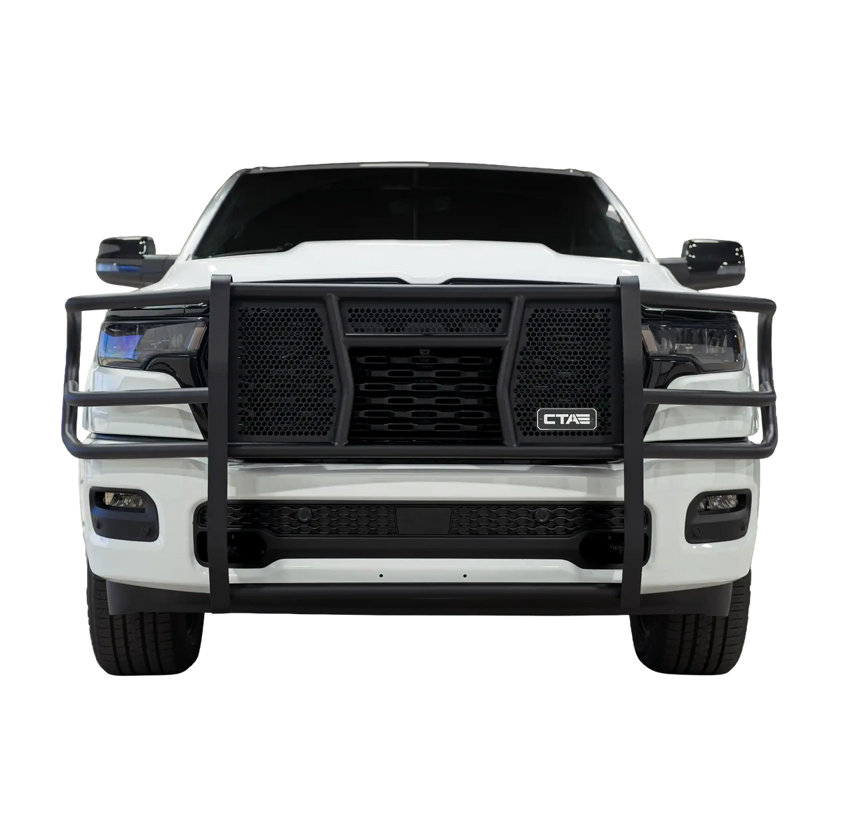 Brush Guard - Ram 1500 Chandler Truck Accessories 